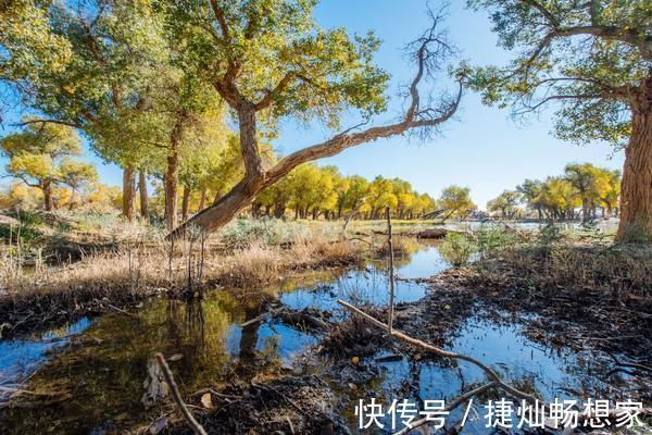 土尔扈特人|告别人山人海，来这个高性价比的地方感受最美秋天！