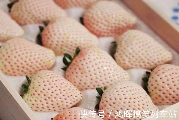 孩子|“心术不正”的孩子,从小就有3个毛病,12岁前不改正就迟了