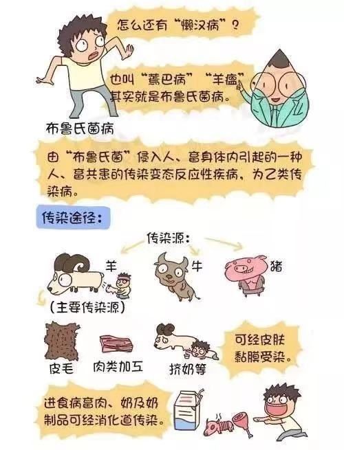 食用牛羊肉|【南院区报道32】反复发烧半个月，竟与喝奶有关？