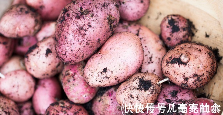 美味|红皮土豆为何受到消费者喜爱，原因很简单，营养又美味！