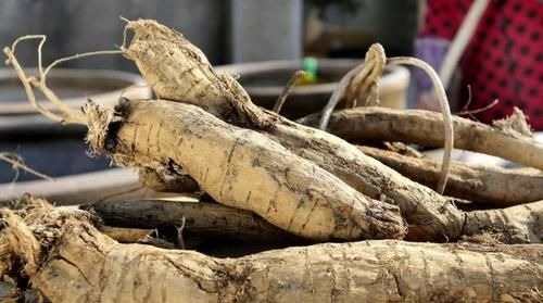 医生|56岁大姐天天吃素，却得高血脂，医生直言：再吃下去或离脑梗不远