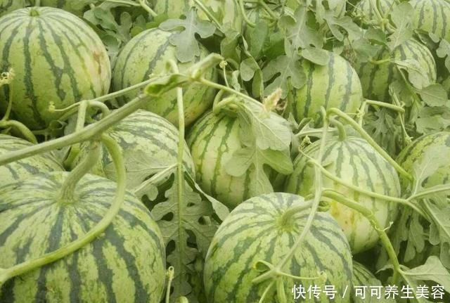 买西瓜别再拍来拍去了,学会看这2个地方,保证挑的个个又沙又甜