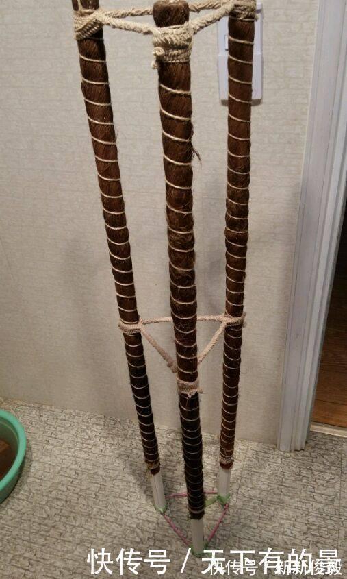 自制绿萝三脚架,6步就完成,绿萝分分钟长成绿瀑布