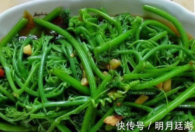 龙须菜|女性爱美推荐常吃以下食物,刮油消脂,美白护肤,营养又瘦身