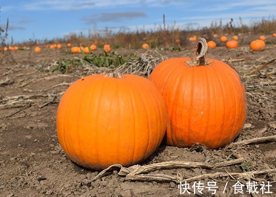 养胃|让胃“温暖” 3样养胃食物要多吃