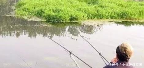秋钓草边“三钓”、“三不钓”,用好了总有一次要爆护
