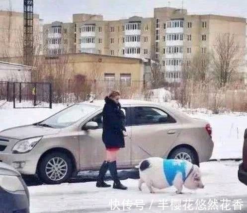 |搞笑图片幽默段子笑话:兄弟你家里很有钱吧?娶到如此漂亮的妹子