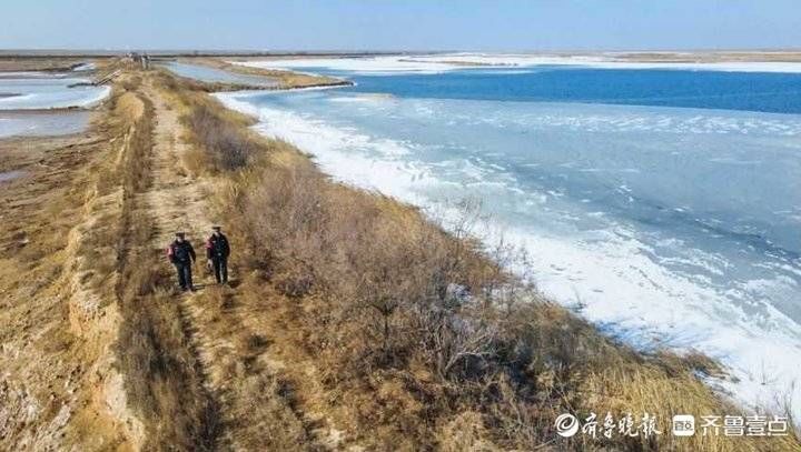 黄河入海口|在黄河入海口，“生态警长”的新年是怎样的