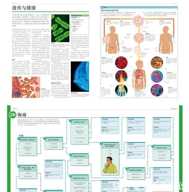 恐龙世界@DK图书大盘点第一季:少儿百科类
