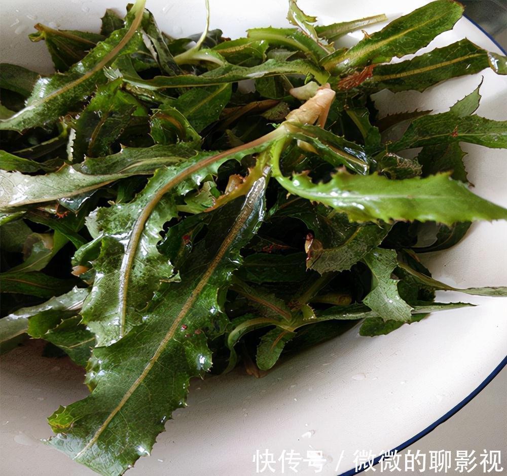 美味佳肴|6种常见野菜,比青菜好吃营养,解腻养人,你吃过几种?不要错过