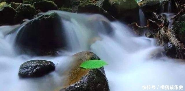 领悟|道家最高生存智慧,全都凝结在这三个字里,普通人领悟后受益匪浅