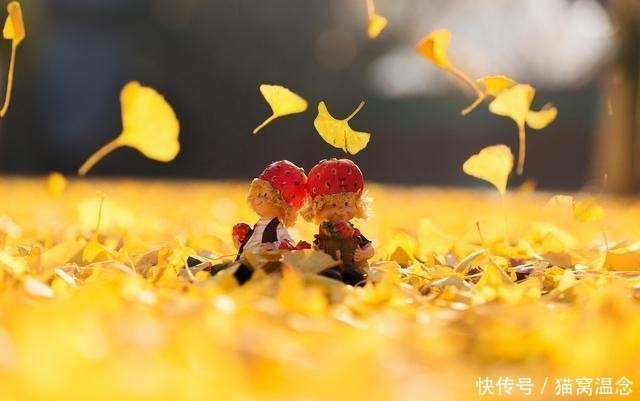 危难|蓝田:危难之中见深情