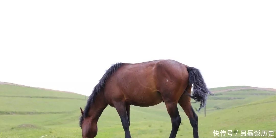 景区|麦积山景区传说之三十五:牧马滩