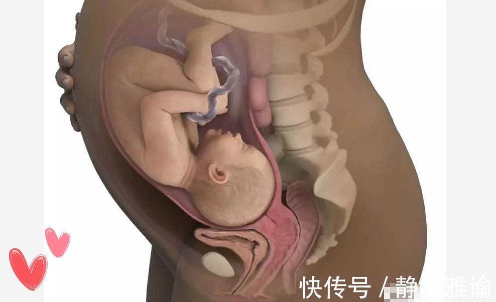 发育|有种“福气”叫胎儿待满40周,三大优势明显,附新生儿护理要点