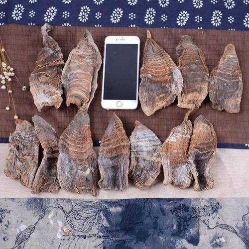 促进|虽其貌不扬,却是肝病的“克星”,每天吃一点或可促进身体排毒