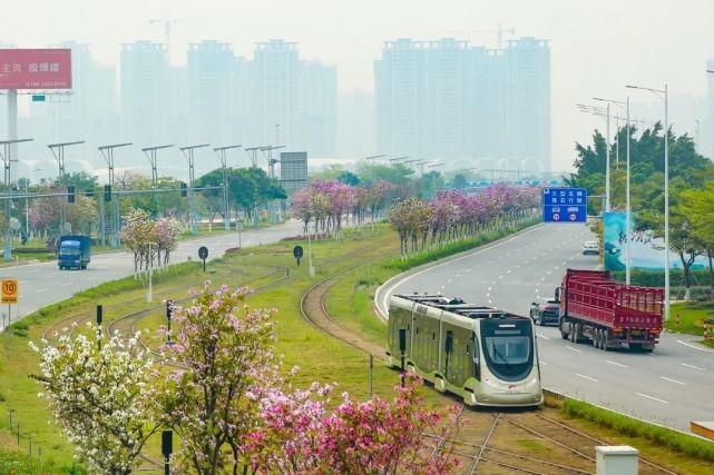 花开好了！来高明，等你～