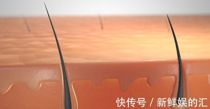 饮食习惯|为什么有的女性体毛旺盛，有的“光秃秃”的？这是什么原因呢？