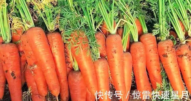 肉末|冬天多吃这6种食物,孩子少生病身体棒,有钱没钱都要常备一些!