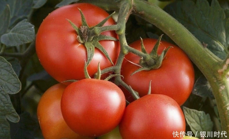  高血压不必老吃药！多吃这几种天然食物，助你轻松降压不用愁