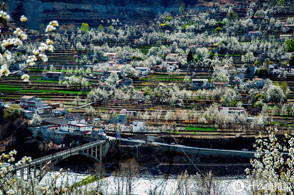 中年|全国赏花地图,花期一篇看完!再过10天,全世界都要羡慕死中国了!