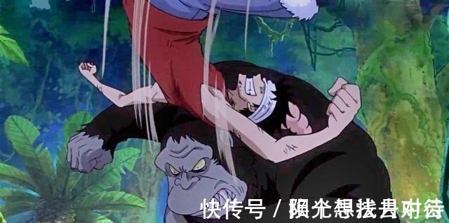 海贼王|海贼王路飞的招式名对应了岛上陪练的动物,狮子王火箭炮威力大