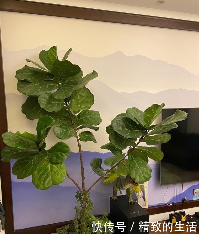 客厅|她家入住两年的房子,每天收拾干净,全屋都挑不出一点毛病!晒晒!