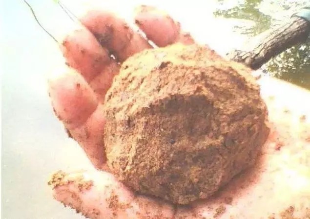 野钓连竿不已突然停口,别以为都是大鱼进窝了,还有这几种情况