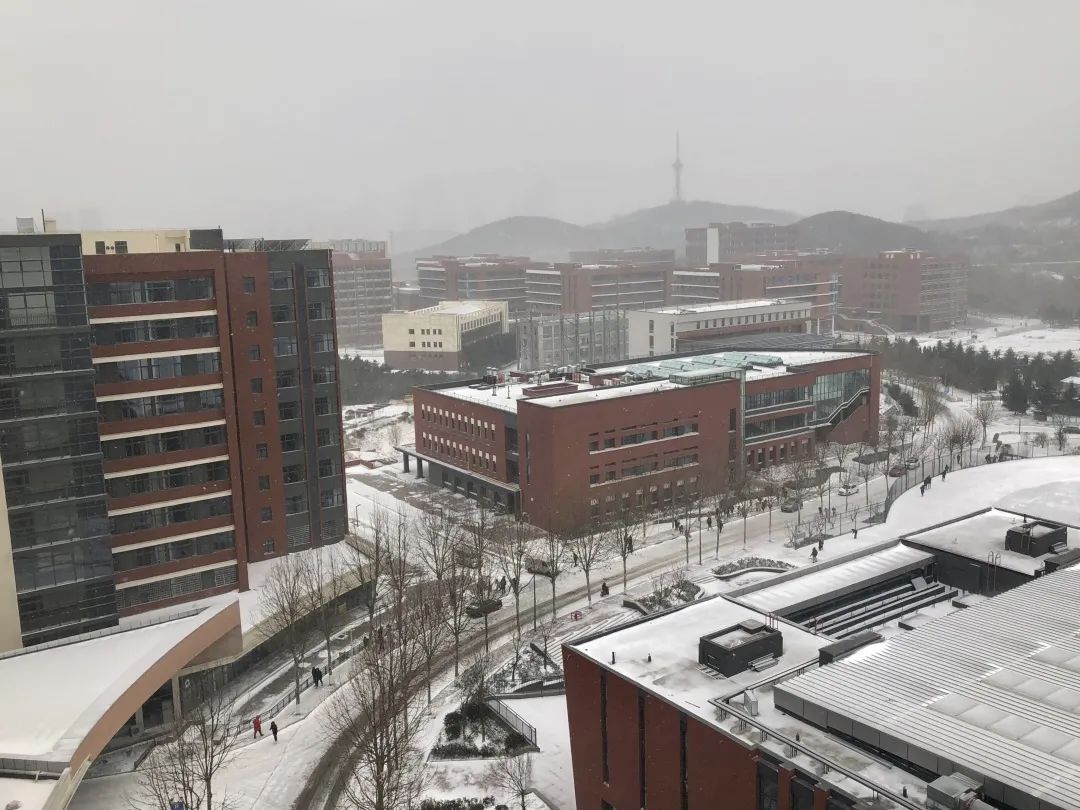 青岛理工大学|今日小雪｜青岛理工大学的雪，你还记得吗？