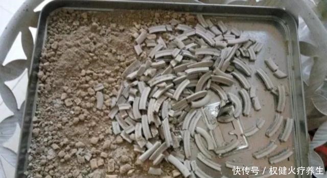 浇水时加点小东西,植物用了呼呼长,连肥料都省了!