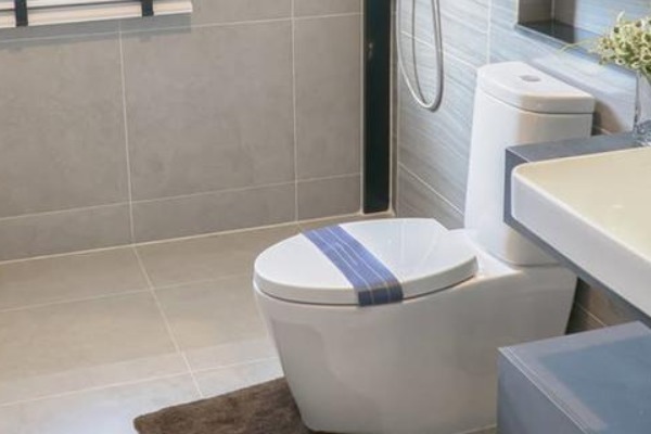 马桶|越来越多人卫生间不装马桶了现在流行装“这种”，干净又卫生