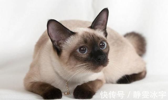 盲盒|年轻人最喜欢的炫富方式?一张稀有游戏王卡,被炒到一亿人民币!