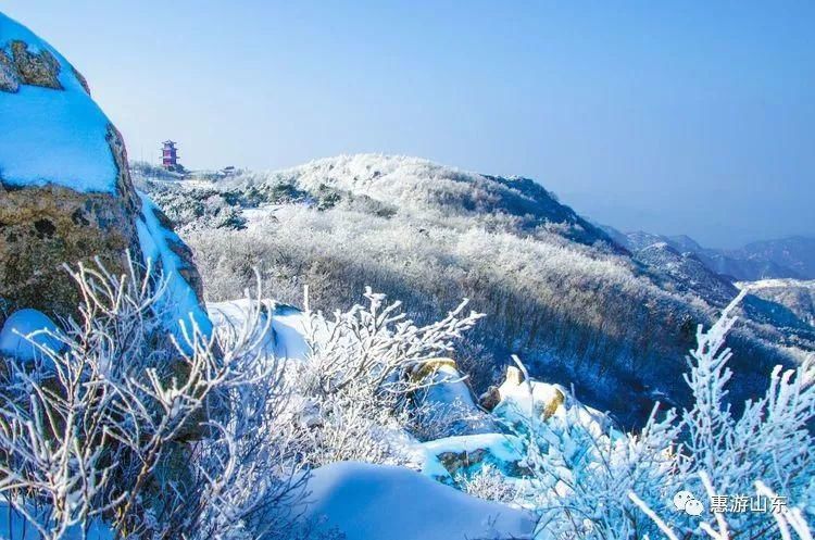 泰山银装素裹后石坞，雪松玉树赛仙境！