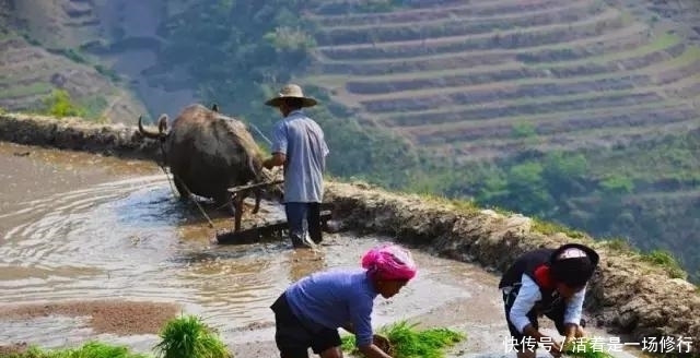 世界遗产云南元阳梯田，建水古城深度4天游