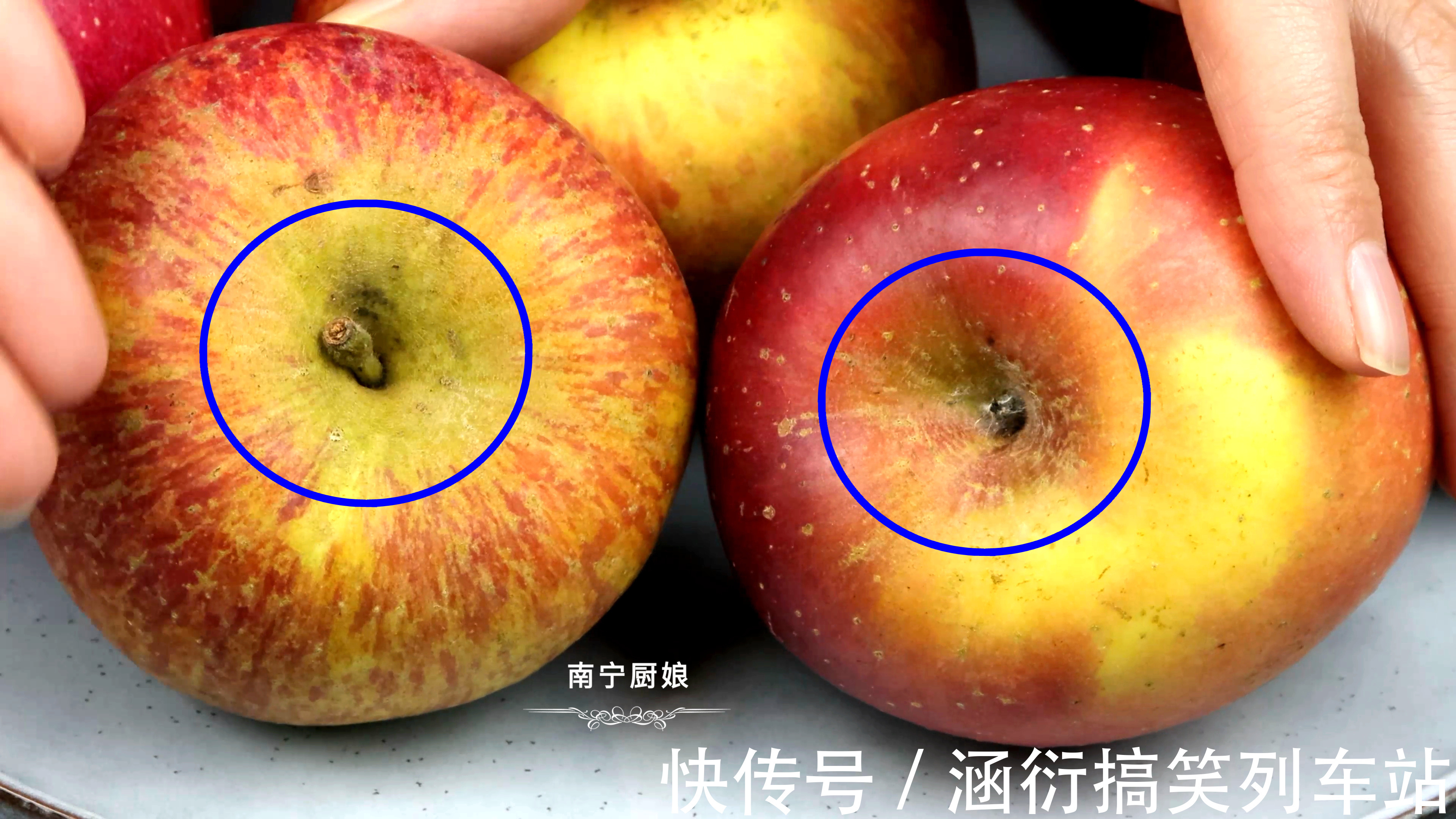 富士苹果|买苹果时，一定要挑“母”的，掌握这7点，买到的苹果脆甜又多汁