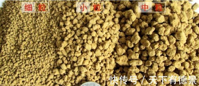 火山岩|新手了解做盆景,三种阶段土,三种阶段,养护盆景更合理