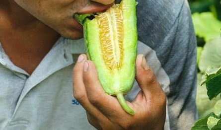 瓜汁|水桶腰、大肚腩好难看5种食物堪比“刮油机”，营养高还热量低