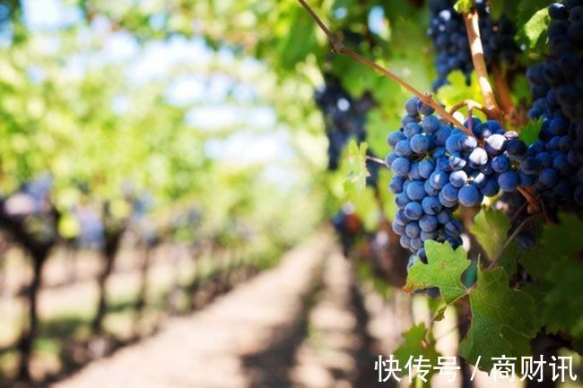 意大利面|除了米兰和科尔蒂纳,意大利还有你想不到的丰富多彩!