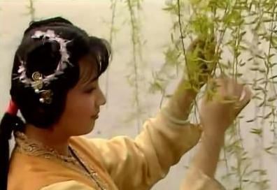 茄鲞|红楼梦:一碗荷叶汤,暴露出贾家丫头和薛家丫头的巨大差别