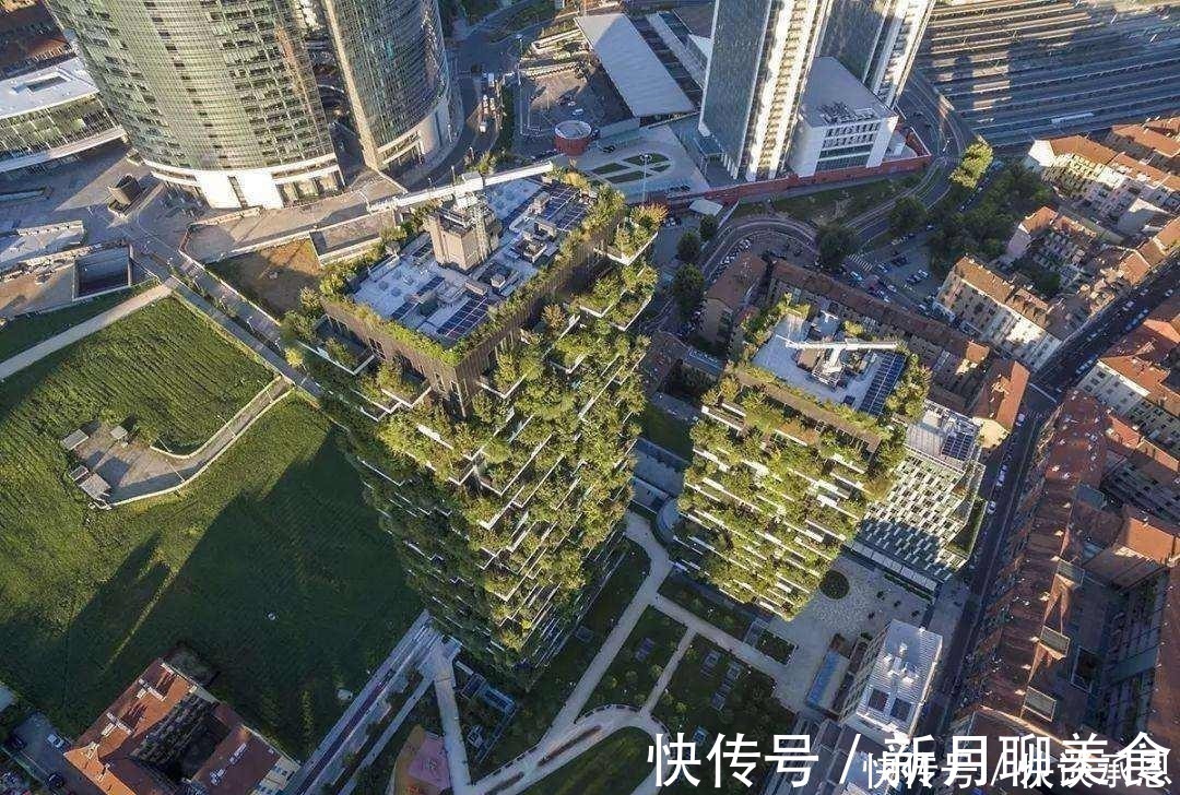 建筑研究院|被誉为“第五大发明”的新式住房,会淘汰电梯房?内行人给出答案