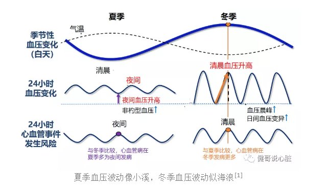 心脑血管|【健哥说心脏】冬季如何管好高血压——了解冬季血压