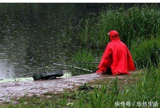垂钓|钓鱼鲫鱼都分布在哪里,有什么需要注意的地方吗