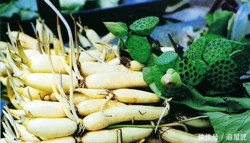 秘密|莲藕孔的秘密你知多少?七孔和九孔哪个好?