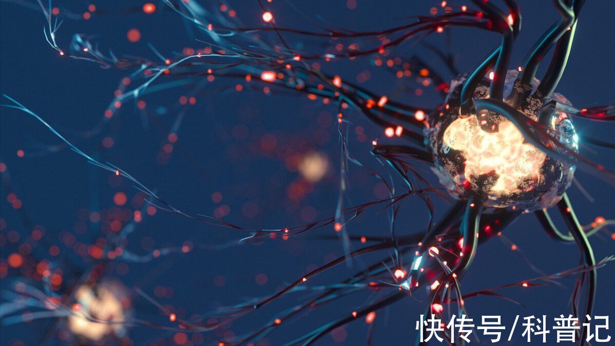 免疫细胞|癌细胞为什么这么顽固？假如吃下一块癌细胞，人体会发生什么？