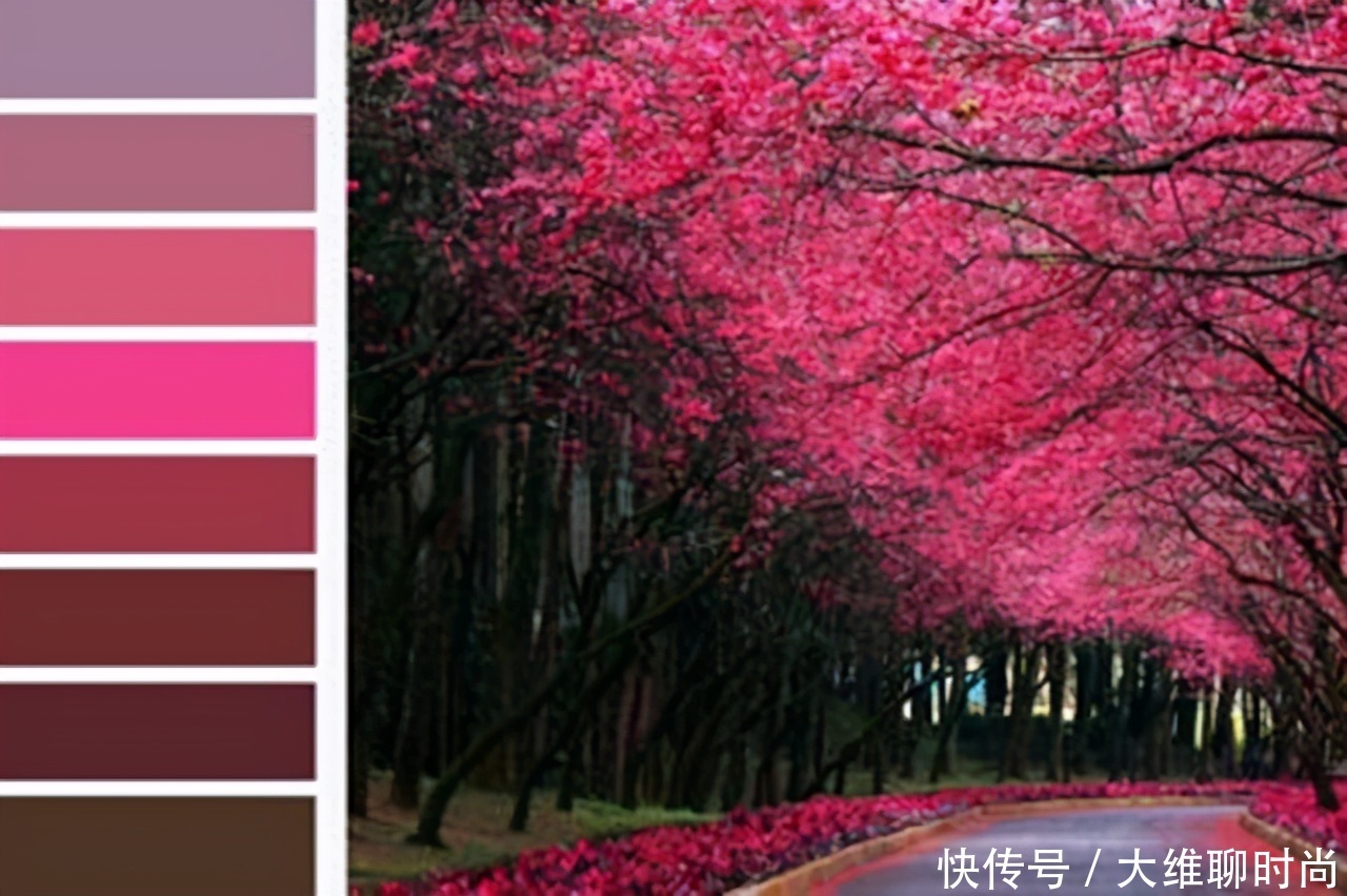 春天该如何运用色彩搭配,才不会被环境淹没,并且显雅致与时尚