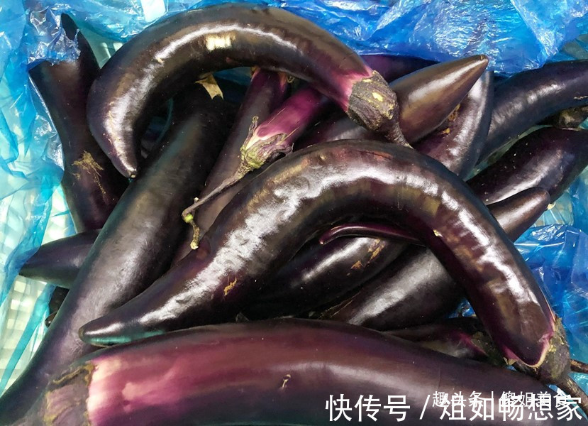 菜农|买茄子时，挑直的还是弯的老菜农别再挑错了，难吃还浪费钱