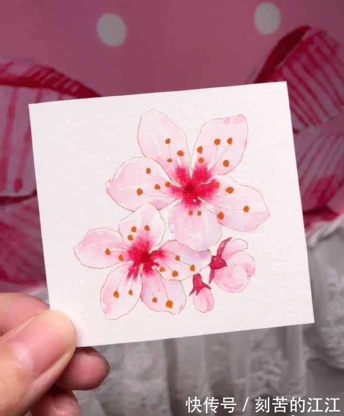 花瓣@水彩这样画,也太美了吧!居然把花瓣画出透明的感觉,看完忍不住保存!