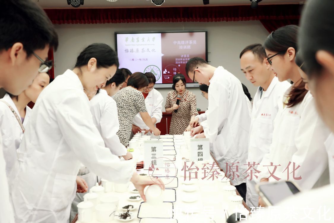 评语|绿茶科普:喝茶时常用到的评茶术语,爱茶人必备知识