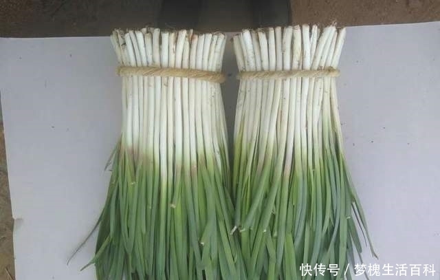 李白无意中命名了一种植物,后来它成为当地宴席名菜,你吃过吗