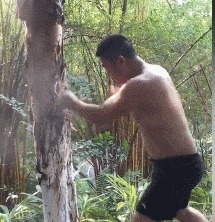 |搞笑GIF趣图：你在那捡的树枝跟你的头发真像！