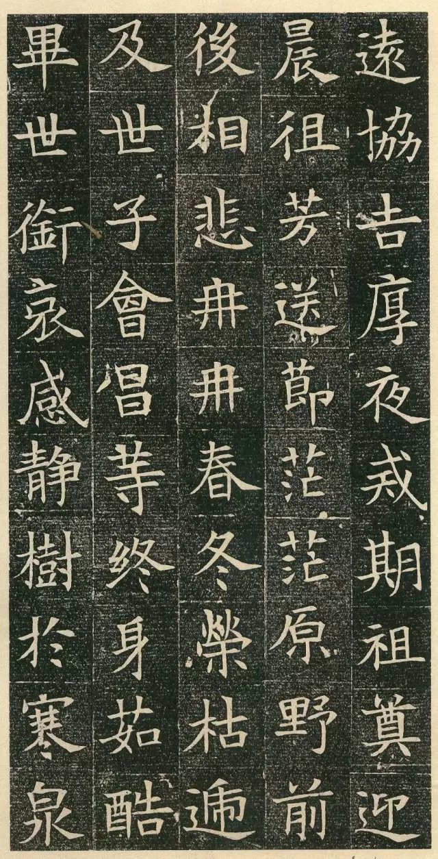 初学者|苏慈墓志:1400年前的楷书,书法初学者的极佳范本